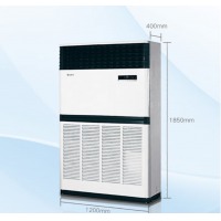 格力（GREE）中央空调10匹风柜变频冷暖2级能效工程商用空调柜机RF28WPd/BNa