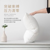 枕头枕芯 星级酒店枕羽丝绒枕芯 纤维软枕芯 白色 45*70 定制