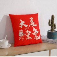 啄木鸟 科朴优品(PLOVER)-大展宏兔抱枕 红色 40*40 KUUP-BZ-01