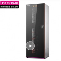 乐创（lecon）消毒柜小型消毒碗柜碗筷消毒柜商用碗柜 茶杯茶具立式上下门消毒柜 ZTP289-J