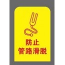 柚子海 护理卡片 3.3cm*5cm