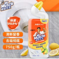 威猛先生（Mr Muscle）洁厕灵750g*1瓶