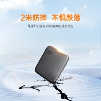 西部数据(WD) 1TB 移动固态硬盘（PSSD）Elements SE新元素 SSD t