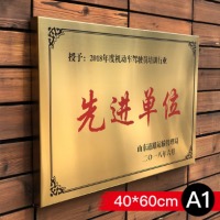 钛金定做 公司门牌 40x60cm