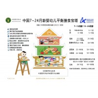新版2022中国居民平衡膳食宝塔模型仿真食物交换份膳食金字塔模型婴幼儿版