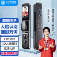 歌派（GEPAD） G6S 猫眼智能指纹锁 3D人脸识别 远程猫眼对讲 电子锁防盗门锁密码