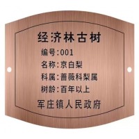 创新 拉丝树牌 玫瑰金不锈钢定做 15*20cm