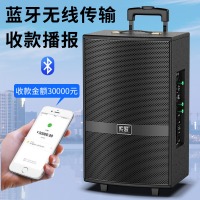 索爱（soaiy）SA-X21 8英寸大功率重低音蓝牙拉杆便携式音箱扩音器带无线话筒