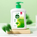 滴露（Dettol）健康抑菌洗手液松木500g
