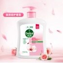 滴露 洗手液450ml