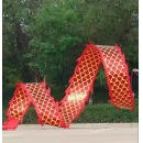 红色双面烫金健身龙6米龙衣+龙头+龙身+甩绳