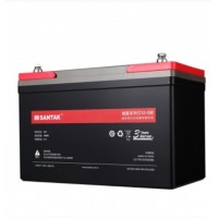 山特（SANTAK）蓄电池 12V100AH2支装