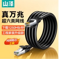 山泽 超六类万兆纯铜网线 CAT6A类成品线 家用电脑网络宽带工程跳线 8芯双绞连接线 2
