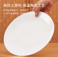 巨博（JOBO）陶瓷十寸平盘自助餐盘