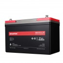 山特（SANTAK）蓄电池 12V100AH 2支装