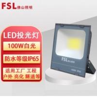 佛山照明(FSL) 投光灯 100W 6500K
