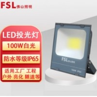 佛山照明(FSL) 投光灯100W 6500K