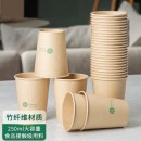 得力(deli)250ml竹纤维一次性杯子 水杯/纸杯 100只装 19208
