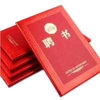 创新 聘书精致烫金荣誉证书