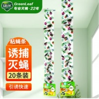 绿叶（Green Leaf）粘蝇板粘蝇条 粘苍蝇彩带 粘飞虫挂条70cm*20条装