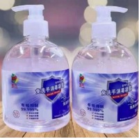 宣共 洗手凝胶 500ml
