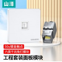 山泽 网络面板+网络模块