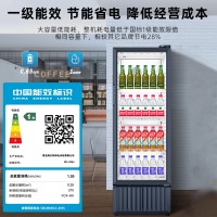 海尔（Haier）展示柜风冷无霜一级能效商用立式冰柜陈列柜超市便利店饮料冷藏柜玻璃门冰箱透