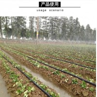 安赛瑞 喷水带 农用滴灌带塑料软管 微喷带喷灌带大棚灌溉 6分加厚斜3孔(20管) 200