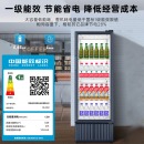 海尔（Haier）展示柜风冷无霜一级能效商用立式冰柜陈列柜超市便利店饮料冷藏柜玻璃门冰箱透明保鲜柜SC-239J