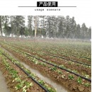 安赛瑞 喷水带 农用滴灌带塑料软管 微喷带喷灌带大棚灌溉 6分加厚斜3孔(20管) 200米