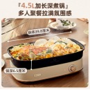 小熊（Bear）电火锅 多功能料理锅DHG-D45G5 4.5L