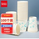齐心 LC-306 加厚纸杯250ml 100个装 白