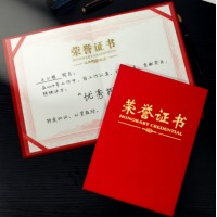 DSB 大12K绒面经典款荣誉证书