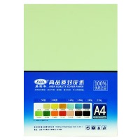 易利丰（elifo） 230克名片厚A4皮纹纸 封面纸 封皮纸 云彩纸 装订封面纸 浅绿 