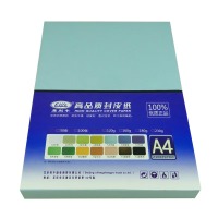 易利丰（elifo） 230克名片厚A4皮纹纸 封面纸 封皮纸 云彩纸 装订封面纸 浅蓝 