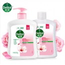 滴露（Dettol）洗手液 滴露滋润倍护健康抑菌洗手液500g*2瓶
