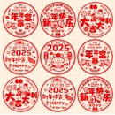 春节装饰2025窗花玻璃静电贴28cm 20张