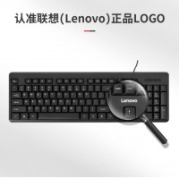 联想（Lenovo）有线键盘 K4800S 黑色