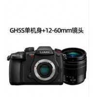 松下（panasonic） DC- GH5S 微单无反相机6K照片4K视频摄相机身套机 单