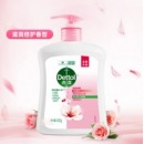 滴露 洗手液450ml 12瓶/箱