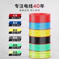 德力西电线国标铜BV/BVR铜芯线4/6/10平方阻燃单芯硬线多股软线 国标足米 BV硬线