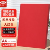 易利丰(elifo)230g彩色皮纹纸a4装订封面纸A4封皮纸标书彩纸手工硬卡纸凹凸大红色