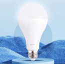 飞利浦（PHILIPS）LED灯泡节能灯泡大功率商用照明球泡灯螺口E27灯泡23W 白光6500K