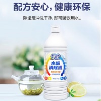 绿伞水垢除垢剂900g