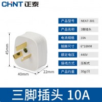 正泰（CHNT）插座模块三级10A插头