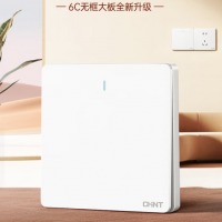 正泰单极开关一开单控开关6C白