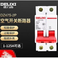 德力西 2P断路器DZ47/40A