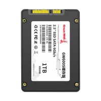 长城（Great Wall）2.5寸GW600S固态硬盘SATA3.0接口1TB带独立缓存