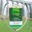 环保草坪专用胶 10kg一桶