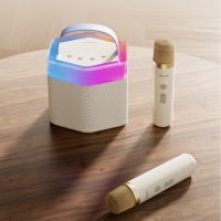 飞利浦（PHILIPS）TAS2519音响麦克风套装（双麦）